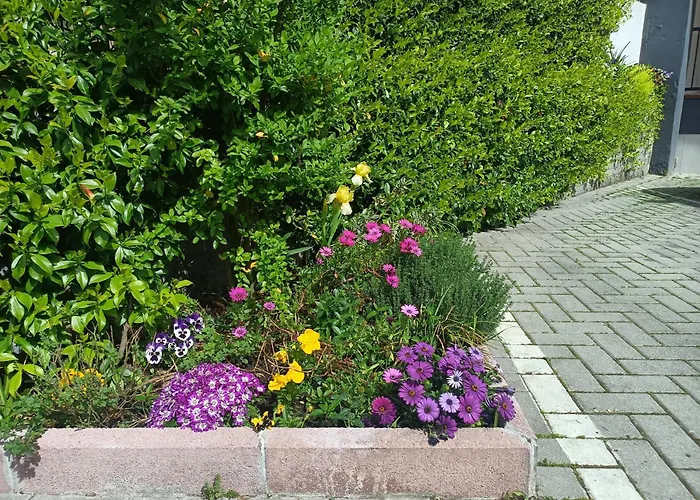 Borghetto San Donato 105 Bologna