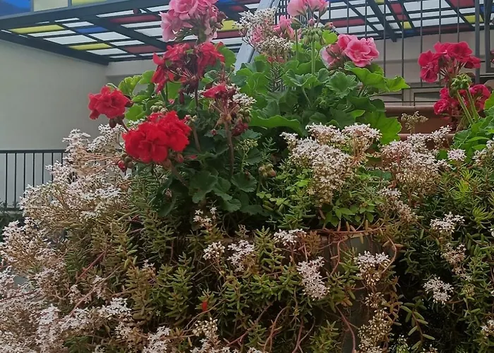 Borghetto San Donato 105