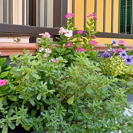 Apartamento Borghetto San Donato 105 *