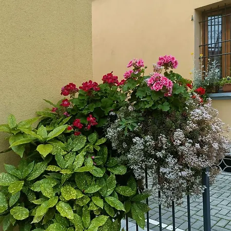 Borghetto San Donato 105 * Bolonha