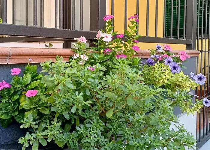 Apartamento Borghetto San Donato 105 *