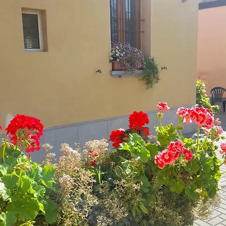 Borghetto San Donato 105 Daire