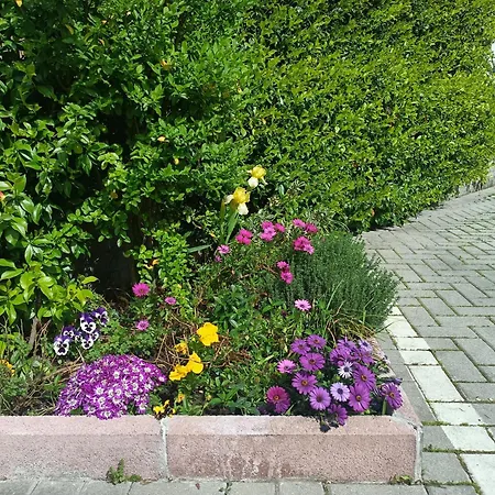 Borghetto San Donato 105 Bolonya