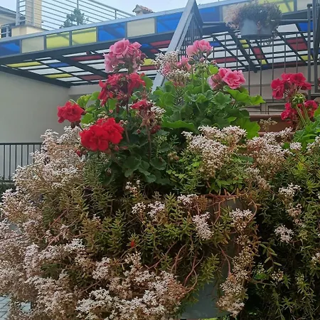 Borghetto San Donato 105